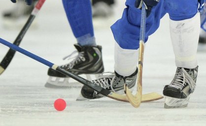 ​В Ульяновске пройдет финал городского турнира по хоккею с мячом среди дворовых команд ТОС