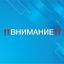 Голосования и опросы