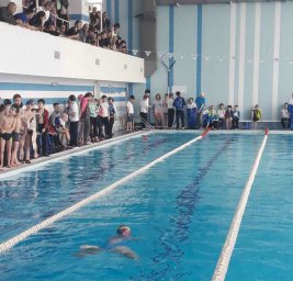​В Открытом первенстве города по плаванию приняли участие порядка 500 спортсменов