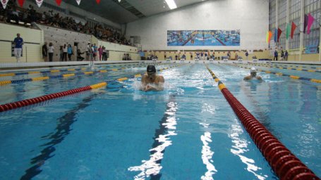 ​В рамках Фестиваля здорового образа жизни в Ульяновске пройдут соревнования по плаванию