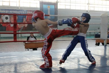 ​В Ульяновске прошли соревнования по кикбоксингу на Кубок Главы города