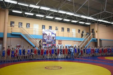 ​В Ульяновске состоялся Межрегиональный турнир по греко-римской борьбе