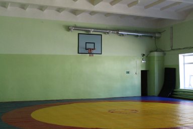 ​Работа спортивных школ Ульяновска временно приостановлена