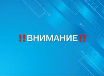 Голосования и опросы