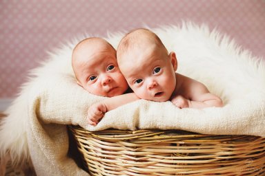 С начала года в Ульяновске родились 23 двойни
