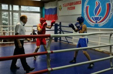 ​В Ульяновске прошел областной турнир по боксу